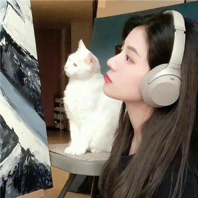 孤帆心跳微澜